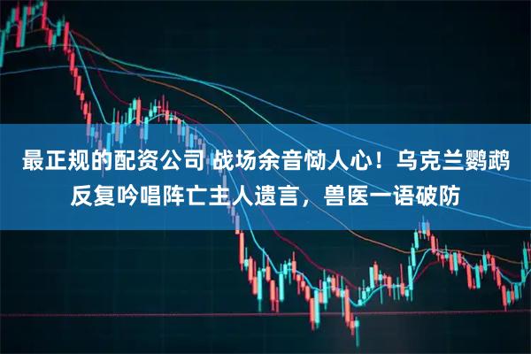 最正规的配资公司 战场余音恸人心！乌克兰鹦鹉反复吟唱阵亡主人遗言，兽医一语破防