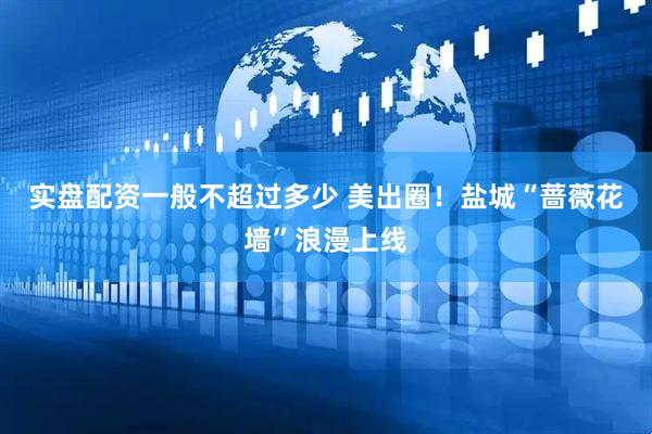 实盘配资一般不超过多少 美出圈！盐城“蔷薇花墙”浪漫上线